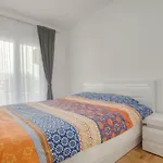 Apartman 104